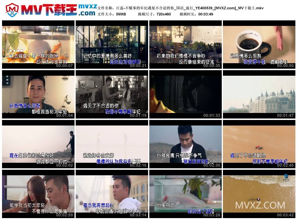 江磊-不懂事的年纪遇见不合适的你_国语_流行_YE400539